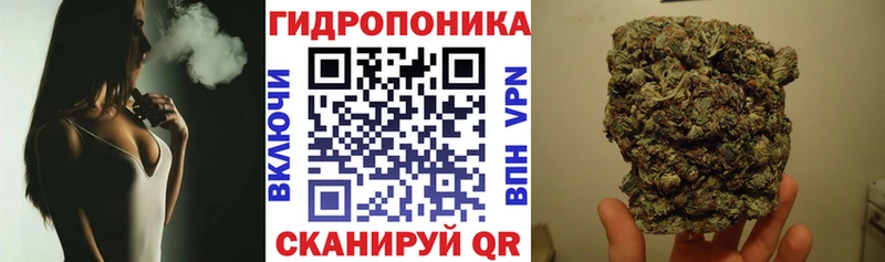 Конопля конопля  Куровское 